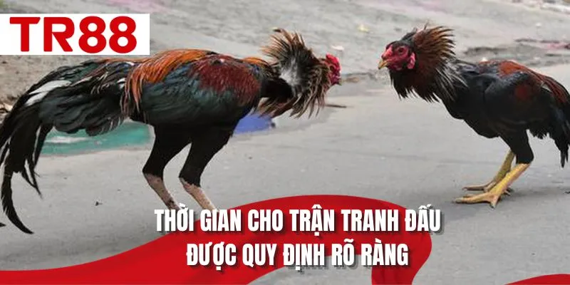 Thời gian cho trận tranh đấu được quy định rõ ràng